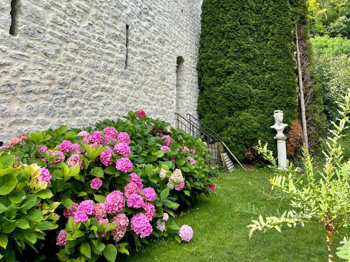 Manoir Saint-Pierre Bed and Breakfast Villersexel Exteriör bild
